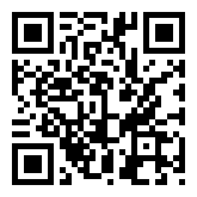 체스 QR 코드